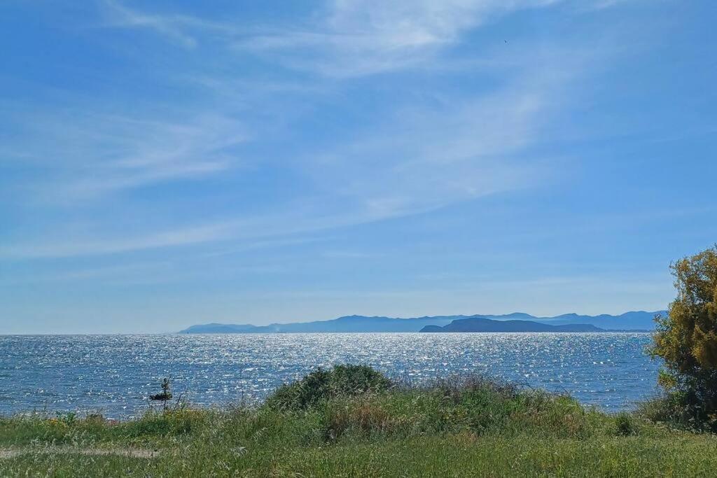 Apartment Sul Mare *
